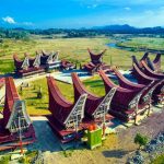 toraja